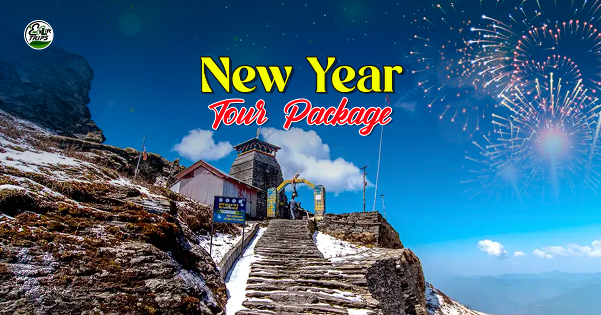 New year trip packages